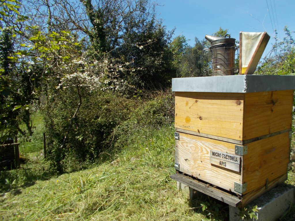 Les-colmenes-de-tate-asturias-colmenas-miel-abejas