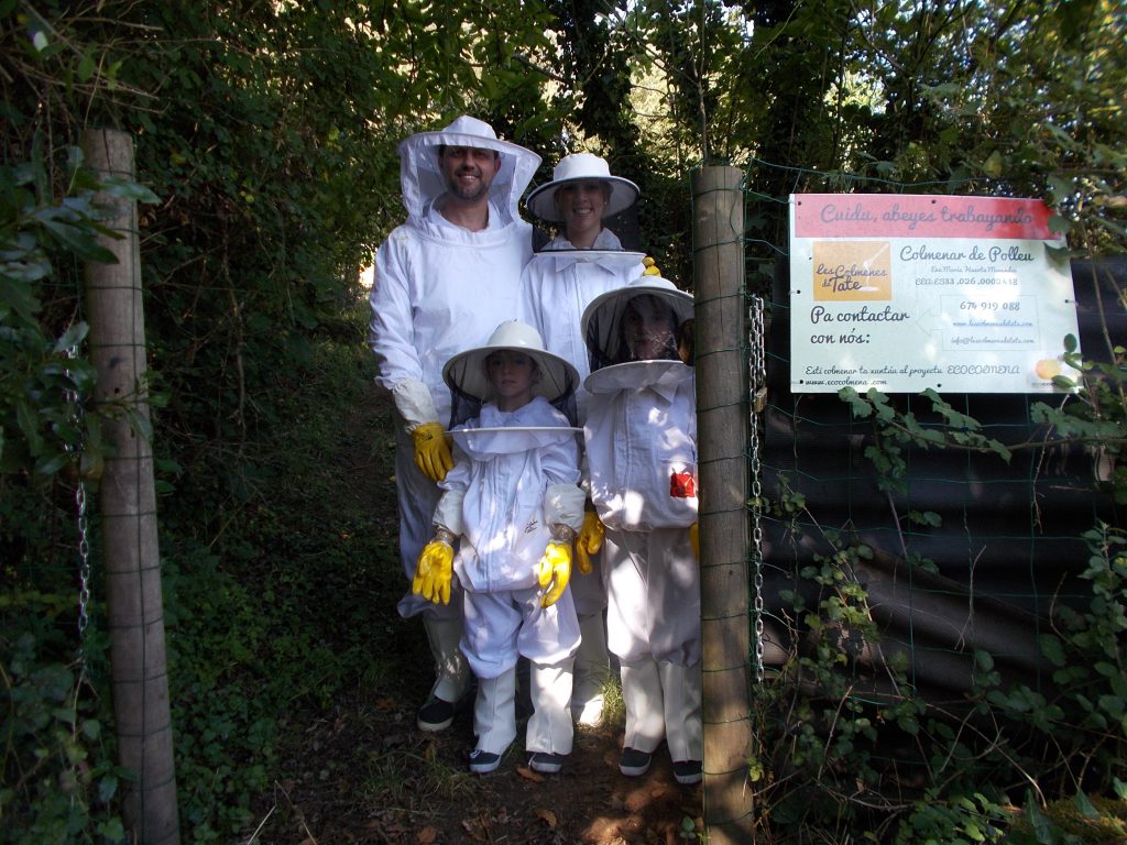 les-colmenes-de-tate-asturias-abejas-miel-colmena