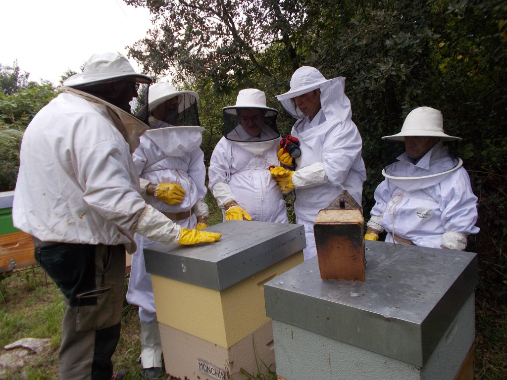 les-colmenes-de-tate-asturias-abejas-visitas