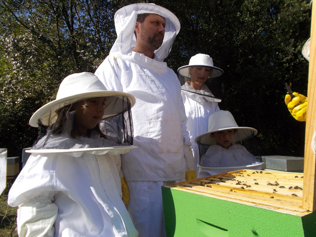 les-colmenes-de-tate-asturias-eztia-miel-abejas