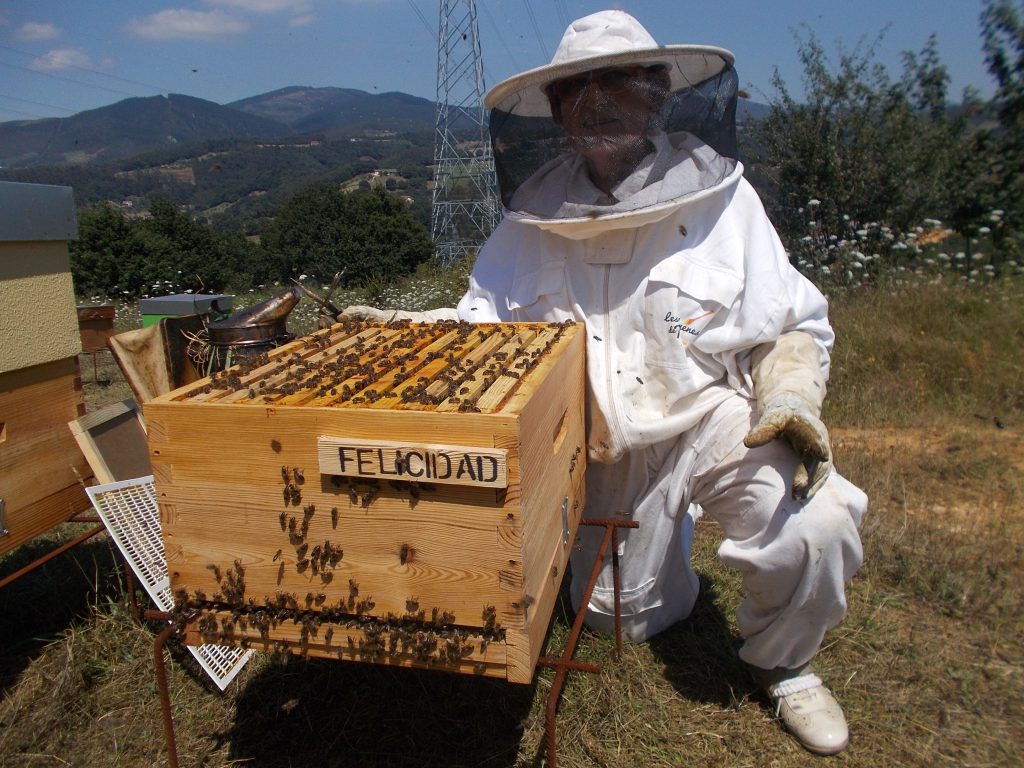 les-colmenes-de-tate-abejas-asturias-colmenas-felicidad