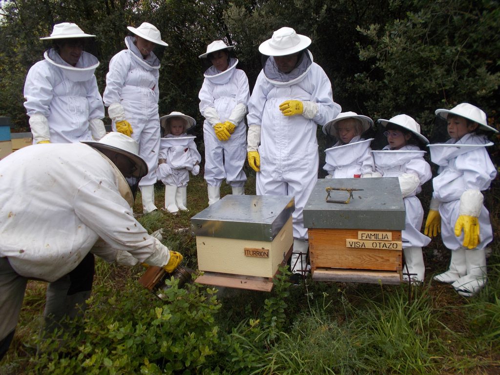 les-colmenes-de-tate-asturias-abejas-colmenas-iturrion-6