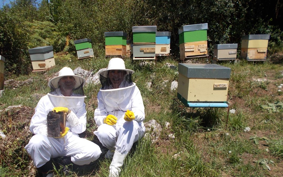 Padrinos y madrinas de abejas en Grado (La Voz de Trubia)