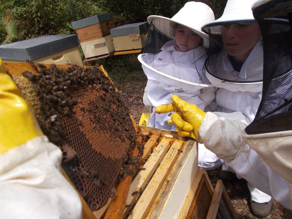 les-colmenes-de-tate-asturias-abejas-colmenas-visitas-padrinos-16