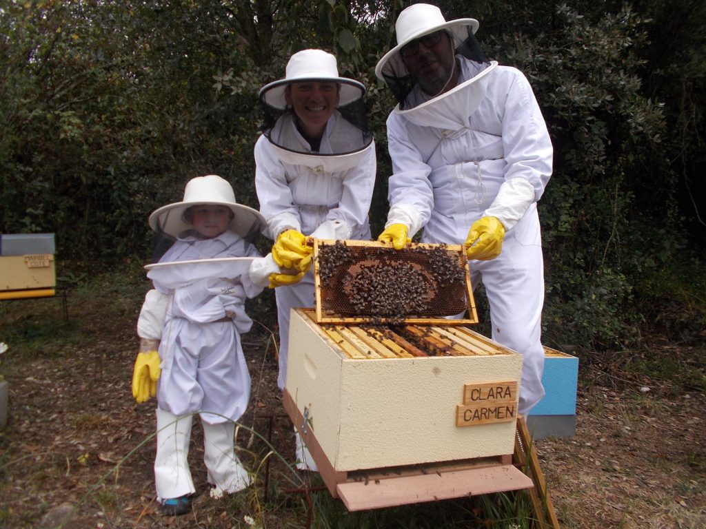 les-colmenes-de-tate-asturias-abejas-colmenas-visitas-padrinos-17