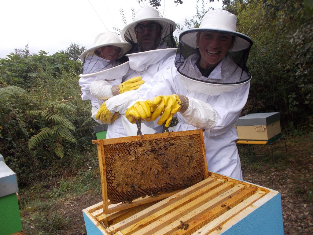 les-colmenes-de-tate-asturias-visitas-padrinos-abejas-colmenas-11