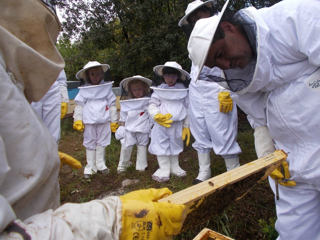 les-colmenes-de-tate-iturrion-asturias-abejas-colmenas-miel-22