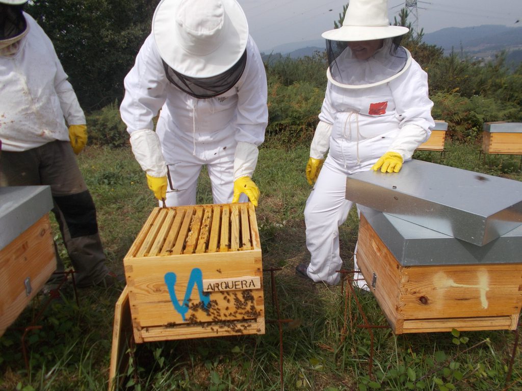 les-colmenes-de-tate-asturias-abejas-colmenas-miel-20-min