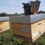 les-colmenes-de-tate-asturias-abejas-colmenas-miel-5