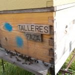 les-colmenes-de-tate-asturias-abejas-colmenas-miel-6 (3)