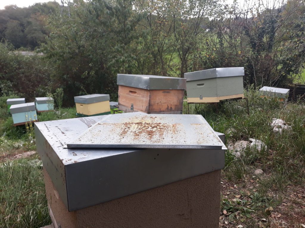 les-colmenes-de-tate-asturias-abejas-colmenas-miel-4