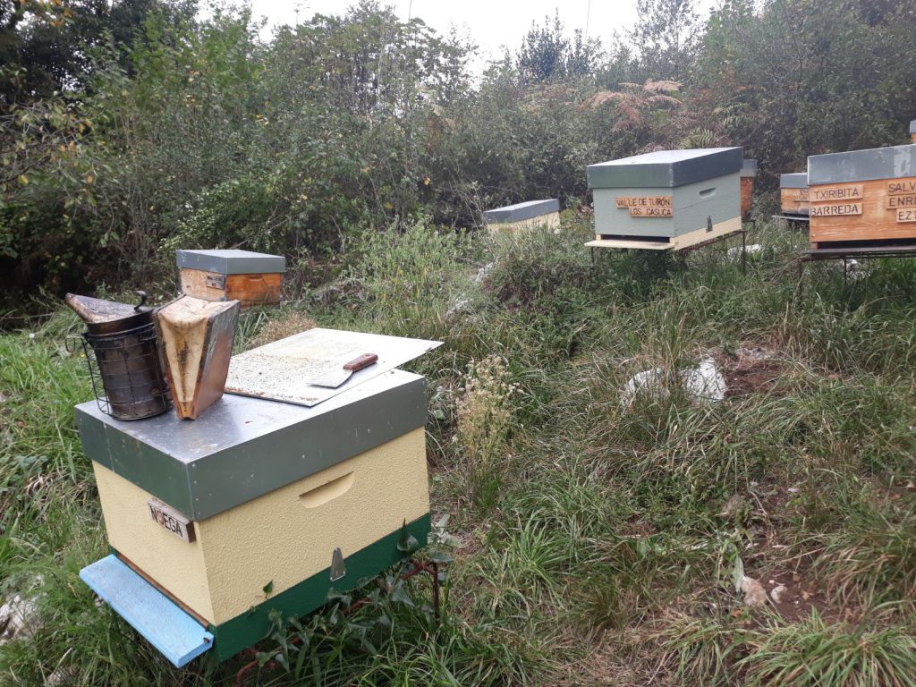 les-colmenes-de-tate-asturias-abejas-colmenas-miel-5