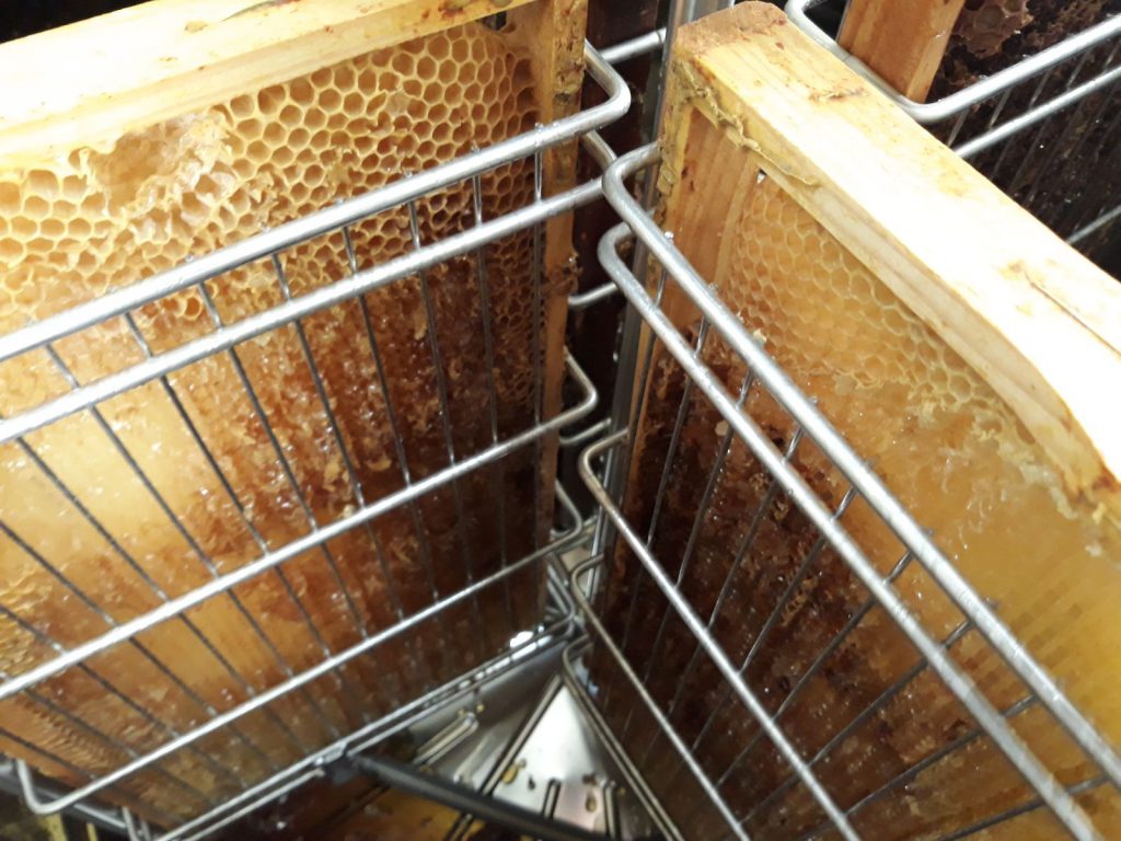 les-colmenes-de-tate-asturias-abejas-colmenas-miel-22