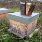 les-colmenes-de-tateasturias-abejas-colmenas-miel-14