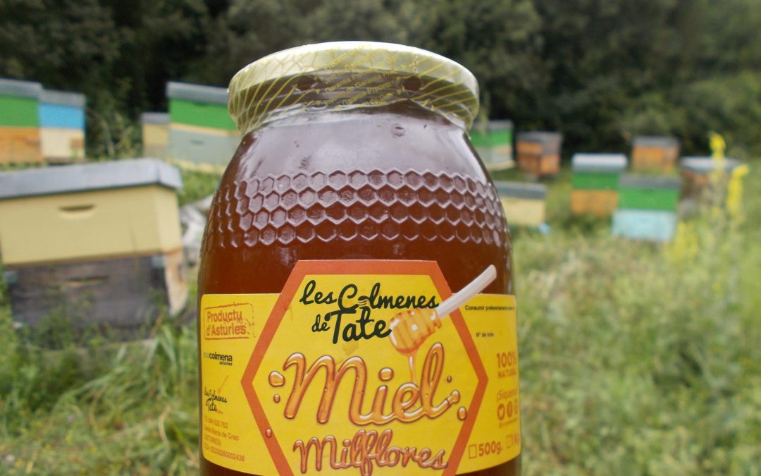 Analizamos nuestra miel milflores (colmenar de Polleu)