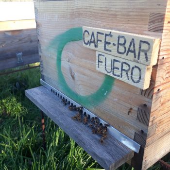 Café-Bar Fuero