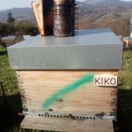 les-colmenes-de-tate-asturias-abejas-colmenas-miel-6