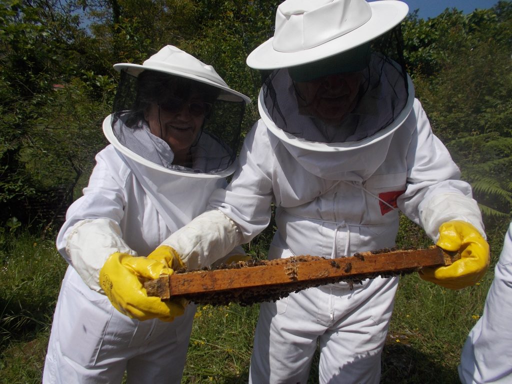 les-colmenes-de-tate-asturias-abejas-colmenas-miel-2 (2)