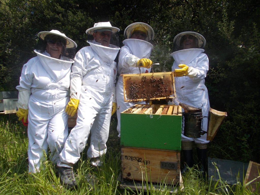 les-colmenes-de-tate-asturias-abejas-colmenas-miel-keco-malen