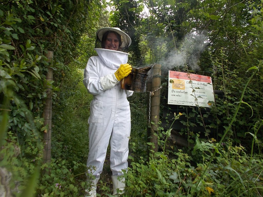 les-colmenes-de-tate-asturias-abejas-colmenas-miel-guahes-natura
