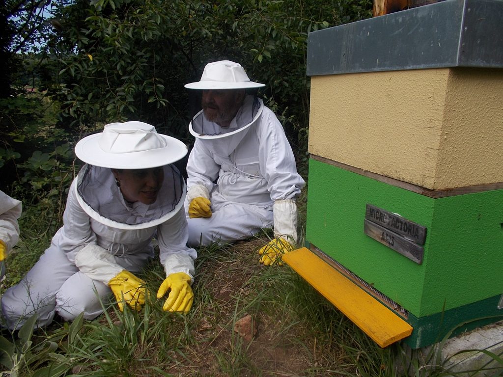 les-colmenes-de-tate-asturias-abejas-colmenas-miel-12