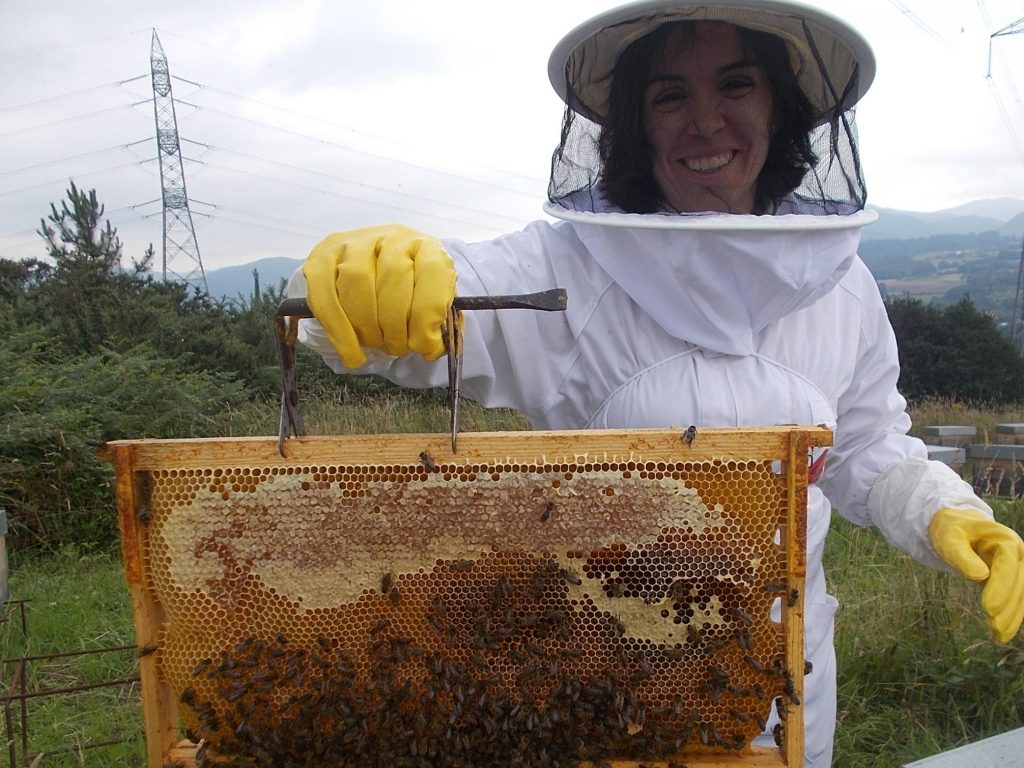 les-colmenes-de-tate-asturias-abejas-colmenas-miel-4 (2)
