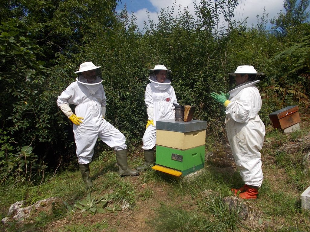 les-colmenes-de-tate-asturias-abejas-colmenas-miel-alumnos-escuela (3)