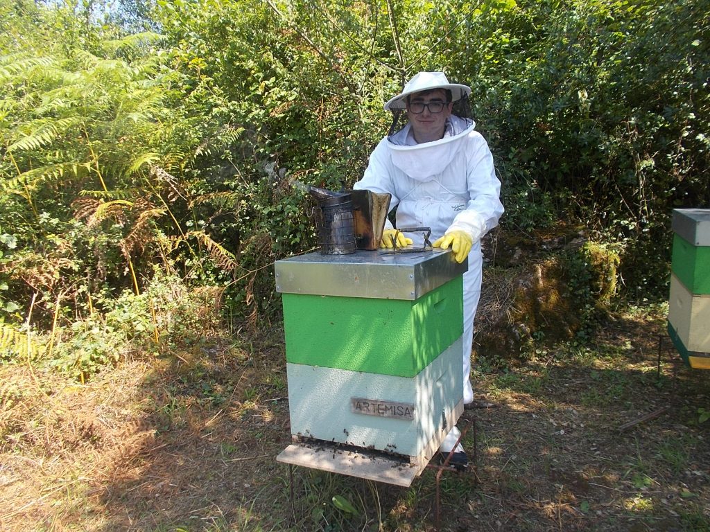 les-colmenes-de-tate-asturias-abejas-colmenas-miel-artemisa-3 (2)