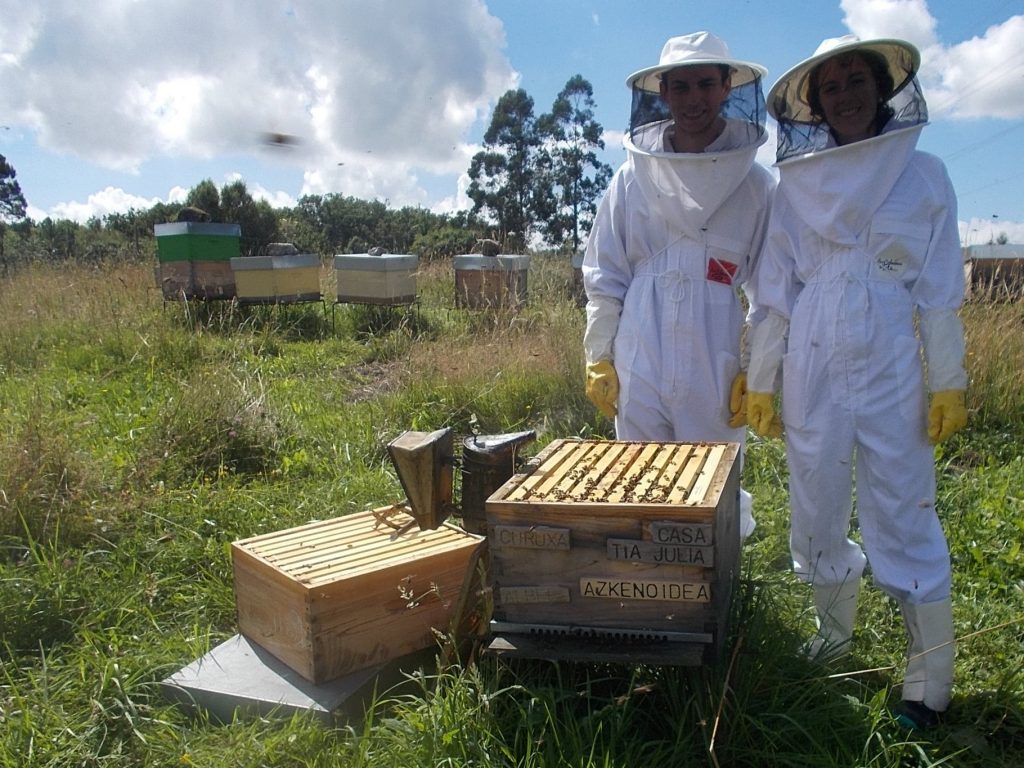 les-colmenes-de-tate-asturias-abejas-colmenas-miel-padrinos-albee