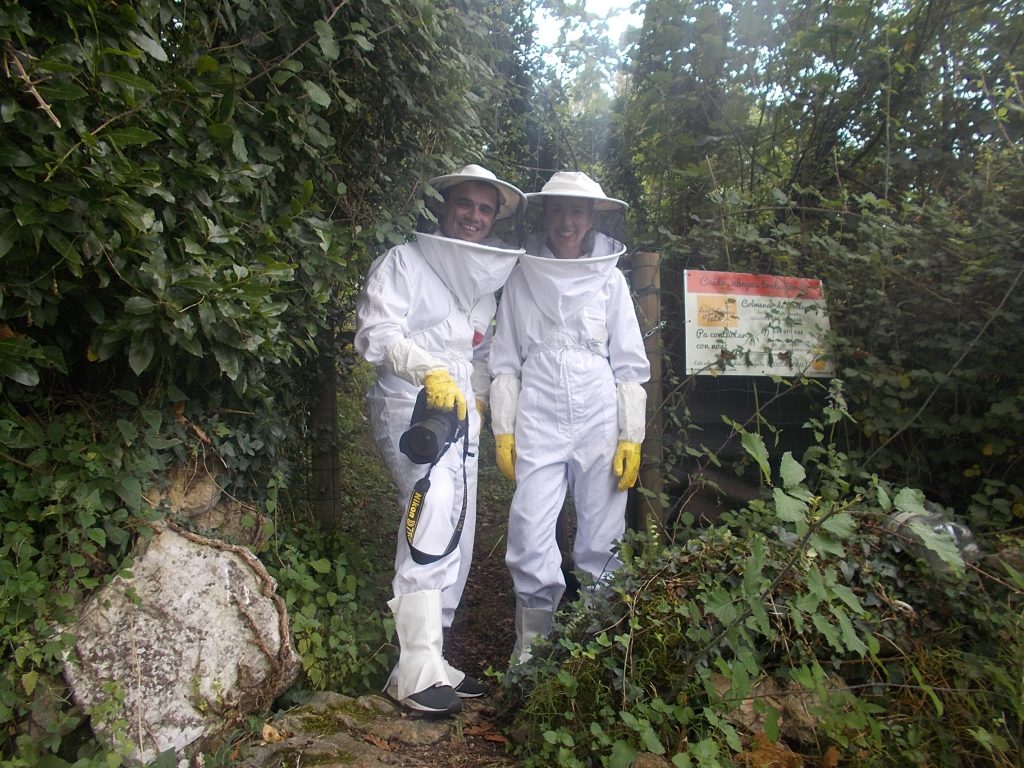 les-colmenes-de-tate-asturias-abejas-colmenas-
