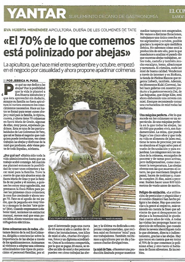 les-colmenes-de-tate-asturias-abejas-colmenas-miel-yantar