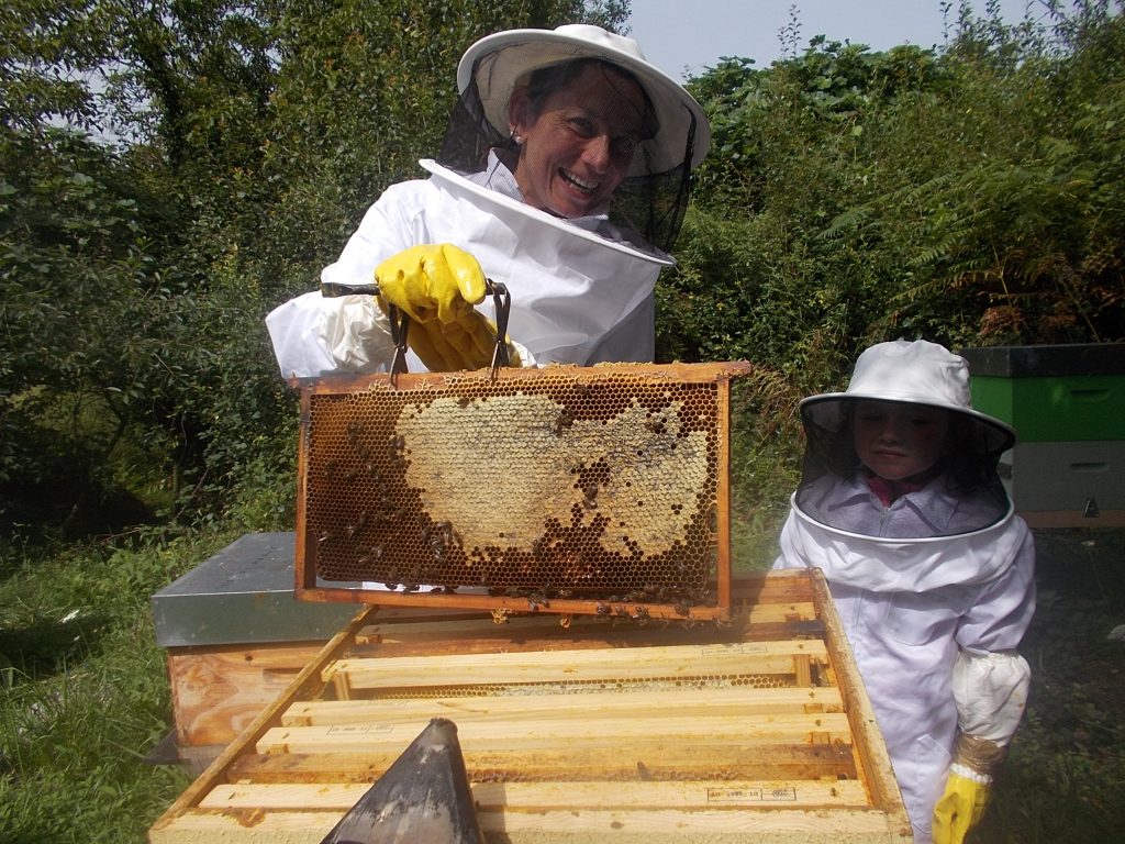 les-colmenes-de-tate-asturkas-abejas-colmenas-miel-7