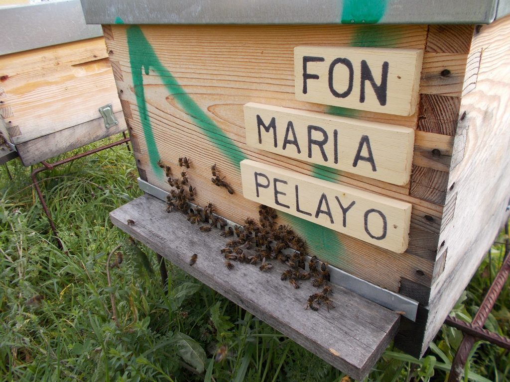 les-colmenes-de-tate-asturias-abejas-colmenas-miel-4