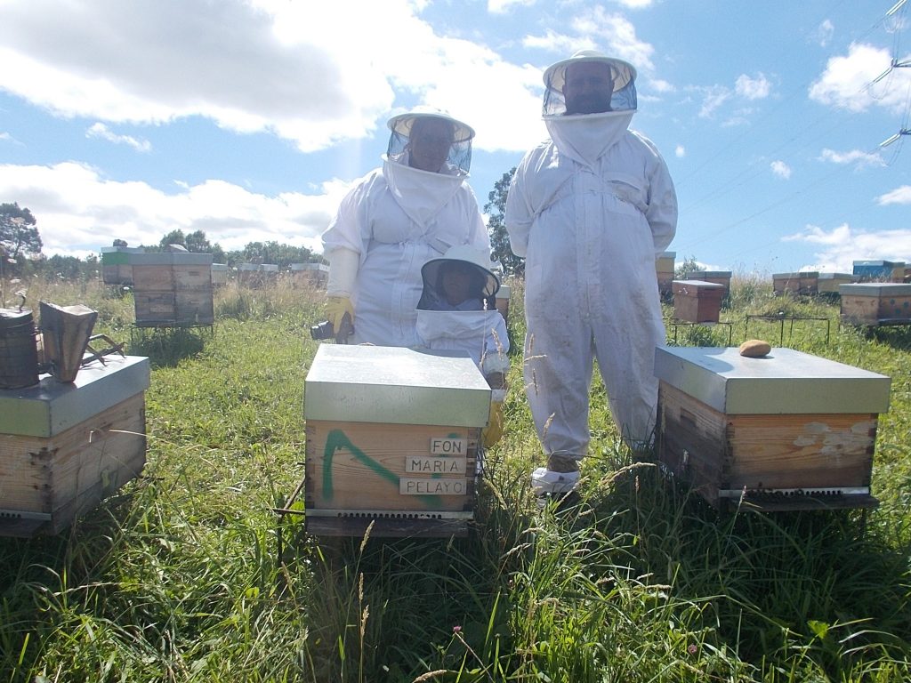 les-colmenes-de-tate-asturias-abejas-colmenas-miel-3