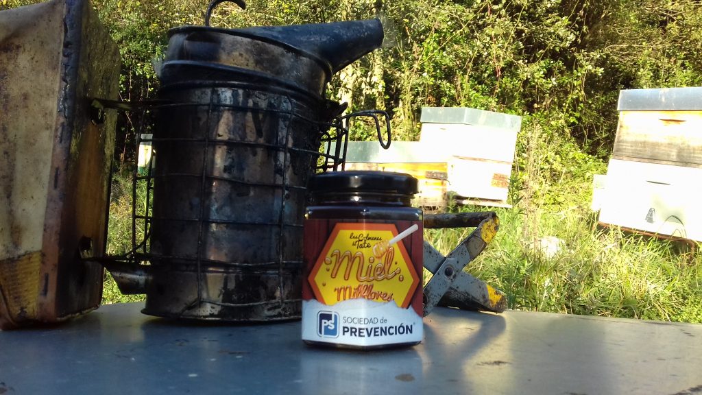 les-colmenes-de-tate-asturias-abejas-colmenas-miel-prevensystem