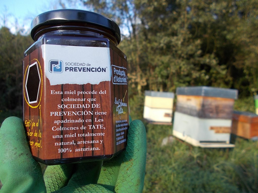 les-colmenes-de-tate-asturias-abejas-colmenas-miel-prevensystem-3