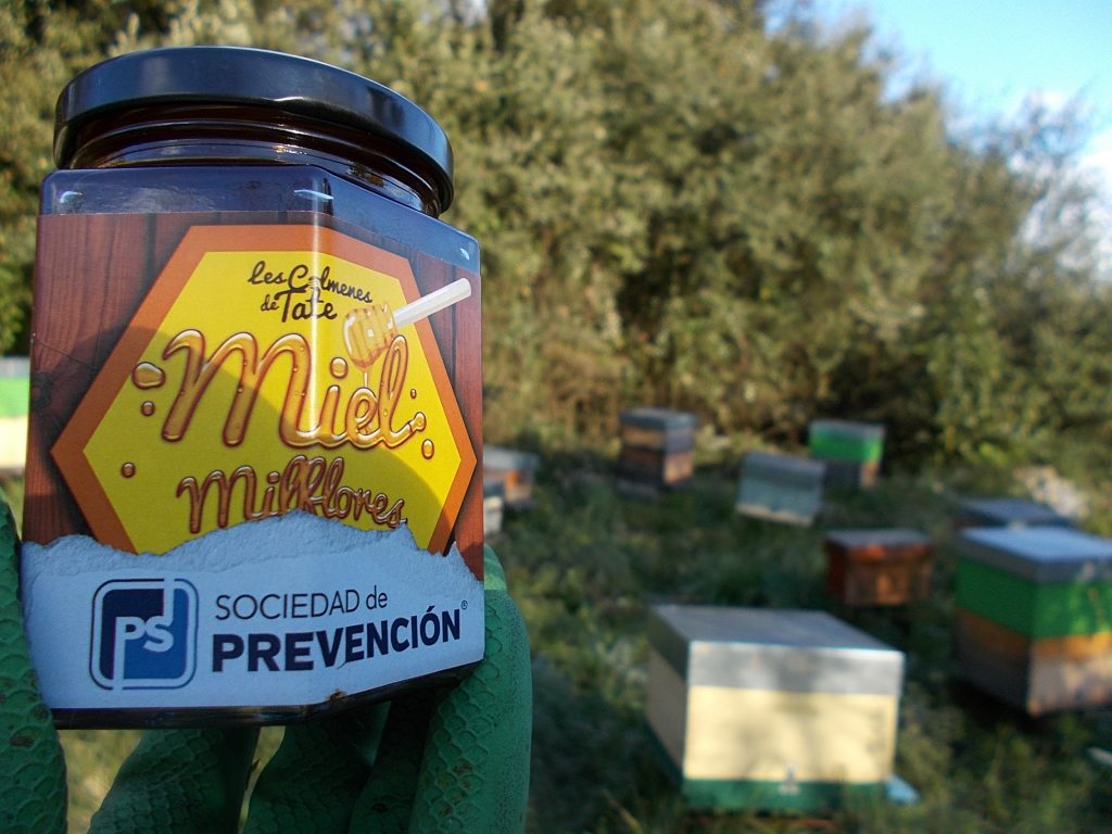 les-colmenes-de-tate-asturias-abejas-colmenas-miel-prevensysten