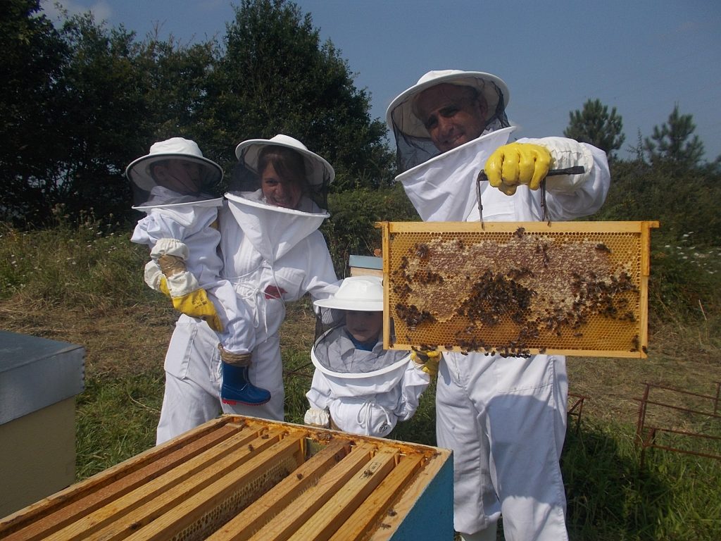 les-colmenes-de-tate-asturias-abejas-colmenas-miel-