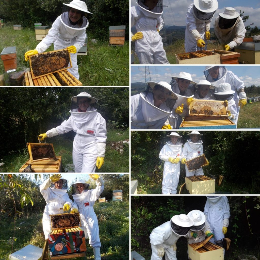 les-colmenes-de-tate-asturias-abejas-colmenas-miel-apicultor-por-un-día