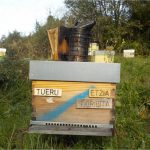 les-colmenes-de-tate-asturias-abejas-colmenas-miel-tueru-3 (2)
