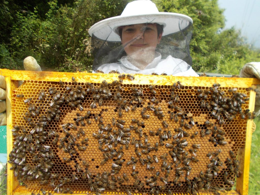 les-colmenes-de-tate-asturias-abejas-colmenas-miel-2-aniversario