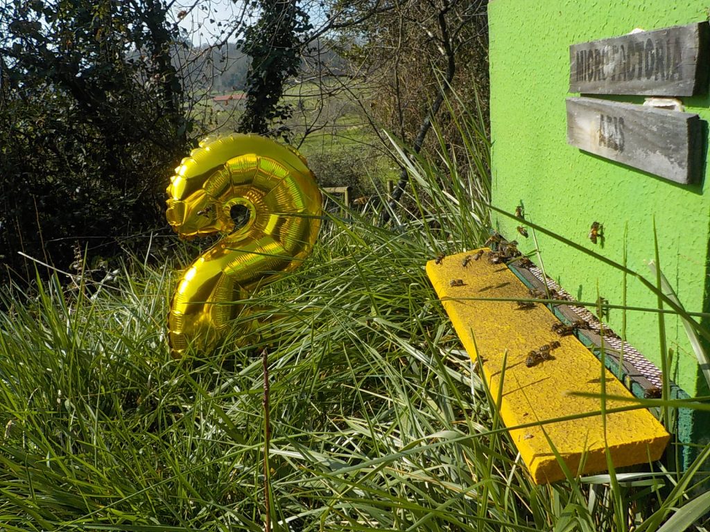 les-colmenes-de-tate-asturias-abejas-colmenas-miel-2-aniversario-2