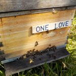 les-colmenes-de-tate-asturias-abejas-colmenas-miel-one-love