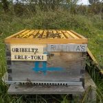 les-colmenes-de-tate-asturias-abejas-colmenas-miel-2-min