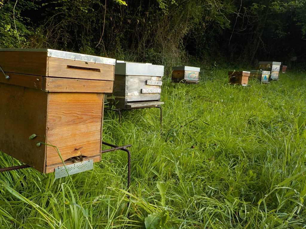 les-colmenes-de-tate-asturias-abejas-colmenas-miel-colmenar (2)