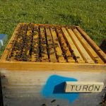 les-colmenes-de-tate-asturias-abejas-colmenas-miel-turon (2)