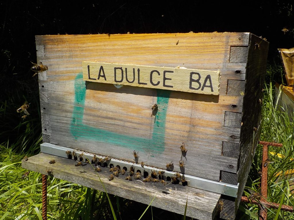 les-colmenes-de-taet-asturias-abejas-colmenas-miel-dulce-ba