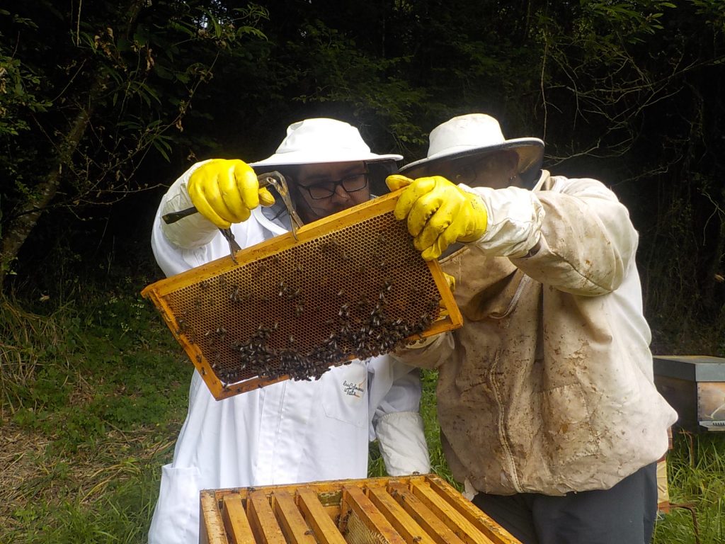 les-colmenes-de-tate-asturias-abejas-colmenas-miel-andres-familia (2)