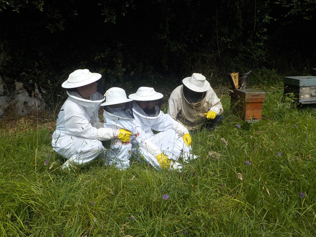les-colmenes-de-tate-asturias-abejas-colmenas-miel-andres-familia (3)