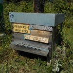 les-colmenes-de-tate-asturi-abejas-colmenas-miel-bee-square
